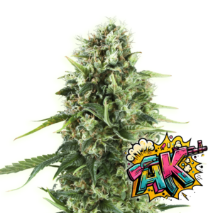 AK47-png | High420.de AK47.png