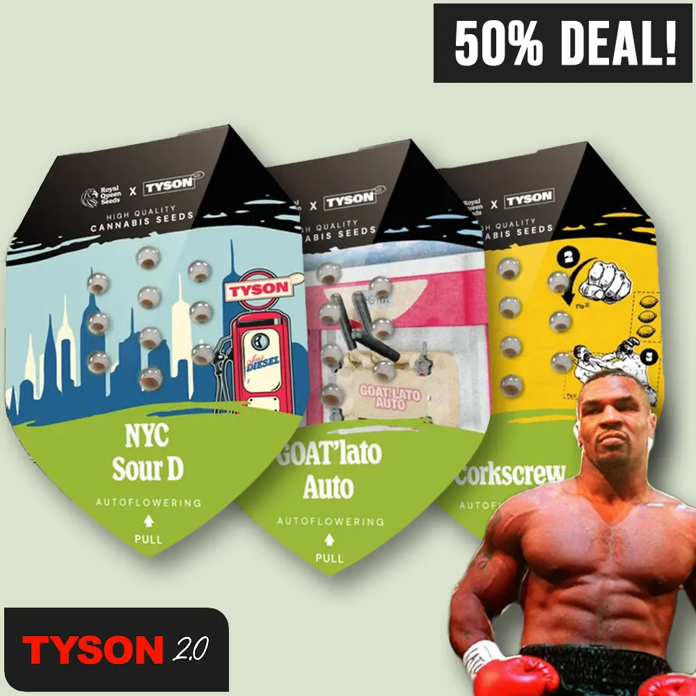 RQS Tyson Auto Bundle | High420.de Royal Queen Seeds Tyson2.0 Auto Bundle