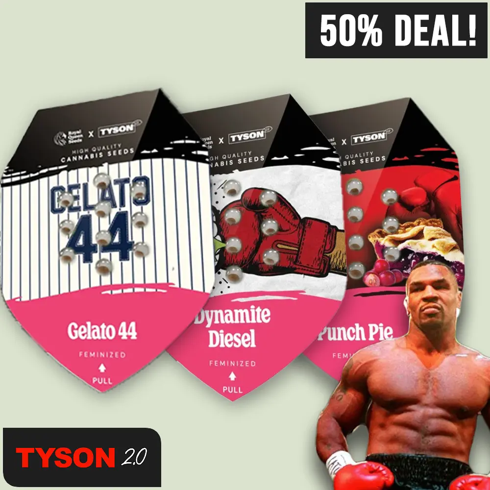 RQS Tyson Fem Bundle | High420.de Royal Queen Seeds Tyson 2.0 Fem Bundle