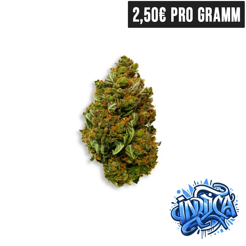 OG Kush 2-webp | High420.de OG Kush 2.webp