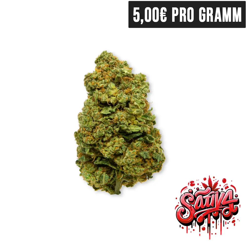 Rising Haze CBD Blueten | High420.de Rising Haze CBD Blueten