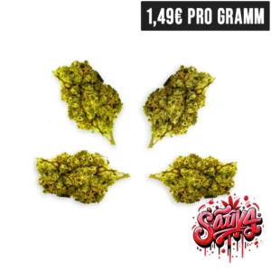 Silver Haze CBD Blueten Small Buds | High420.de Silver Haze CBD Blueten Small Buds Sativa