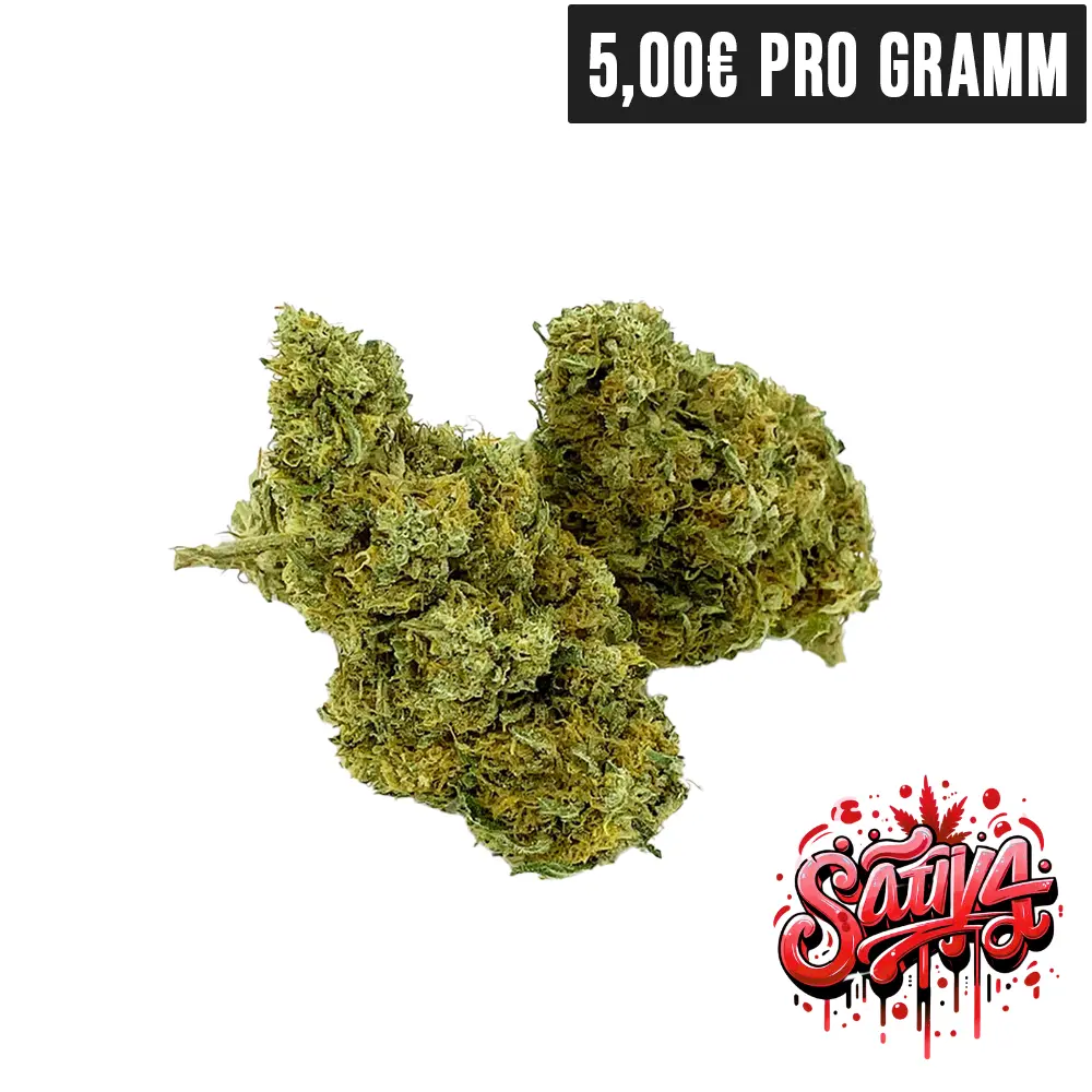 Tropical skunk-webp | High420.de Tropical skunk.webp